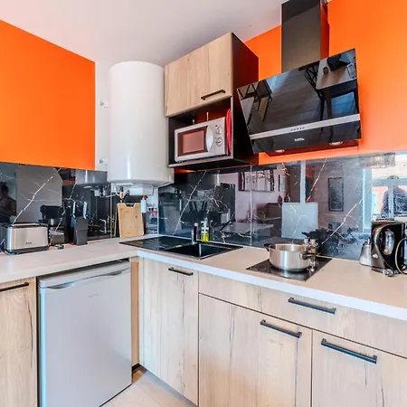 Apartment Florea 6-8p - 3 Salles De Bain 4ch Parking Roanne